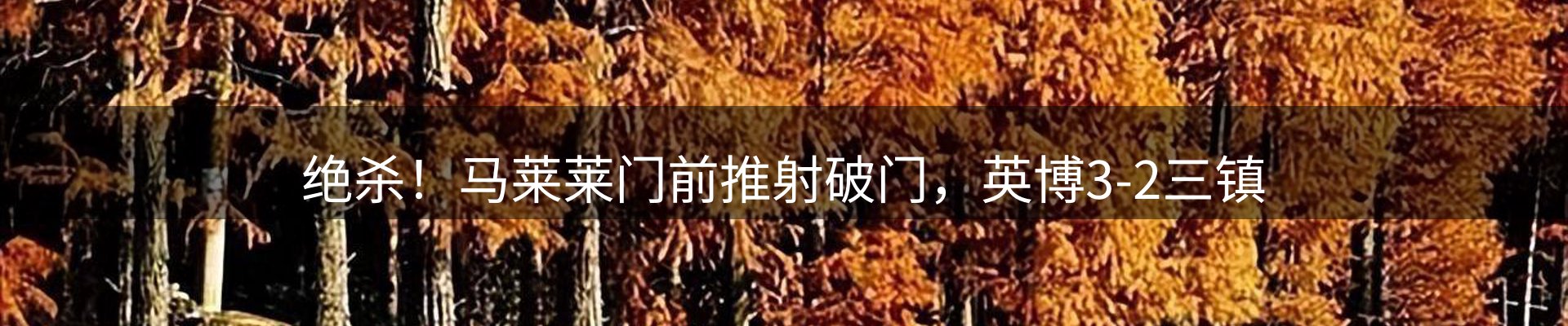 内页banner